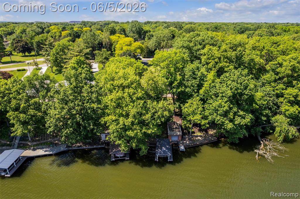 47435 N Shore Drive, Belleville, MI 48111 — Photo 61