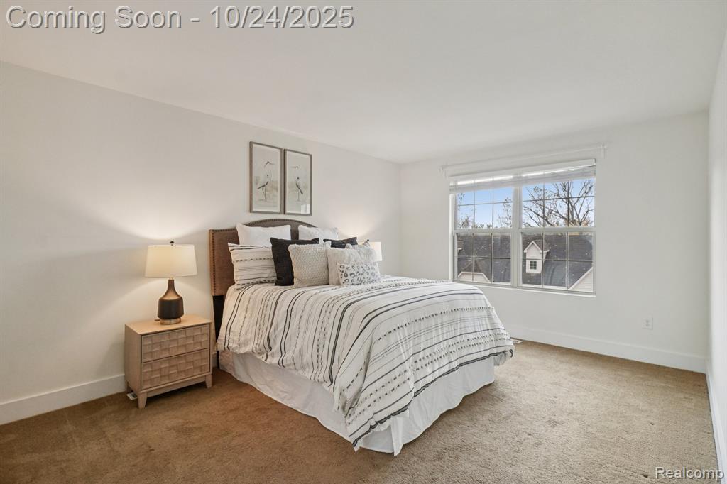 39675 Springwater, Northville, MI 48168 — Photo 22