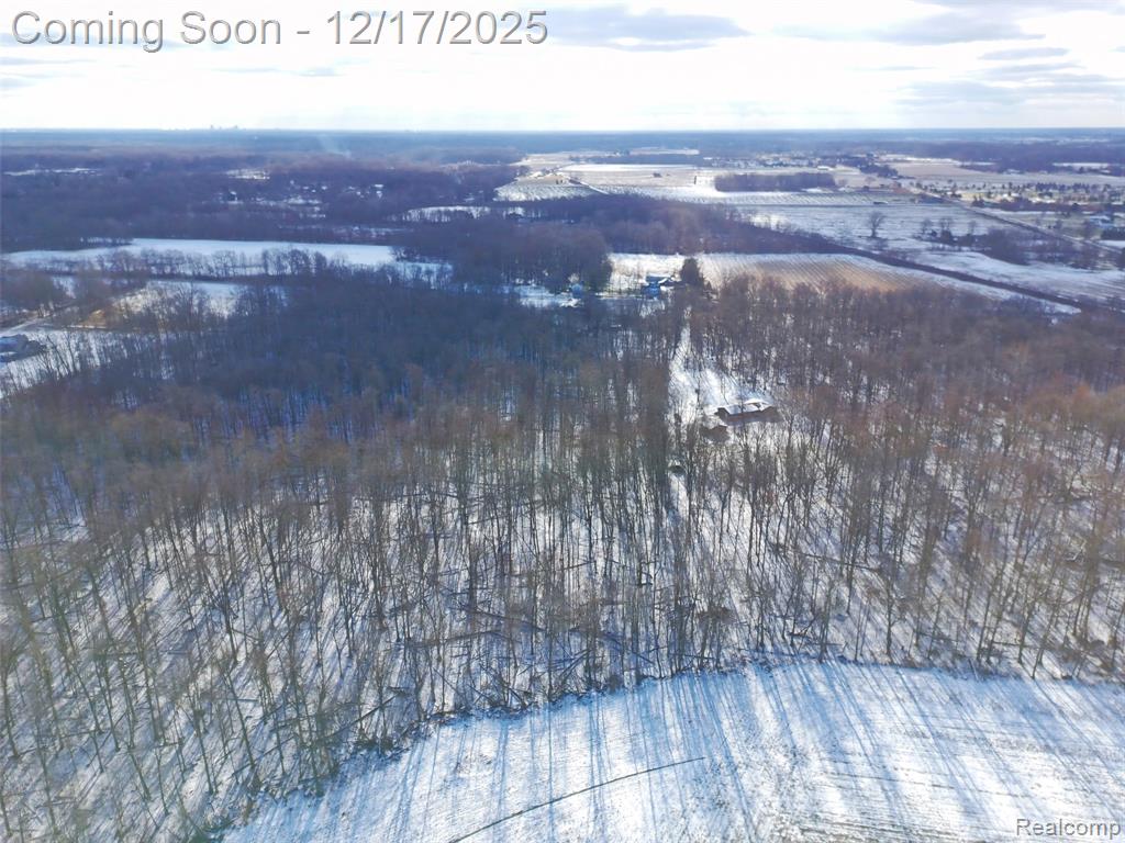 4870 W Samaria Road, Temperance, MI 48182 — Photo 22