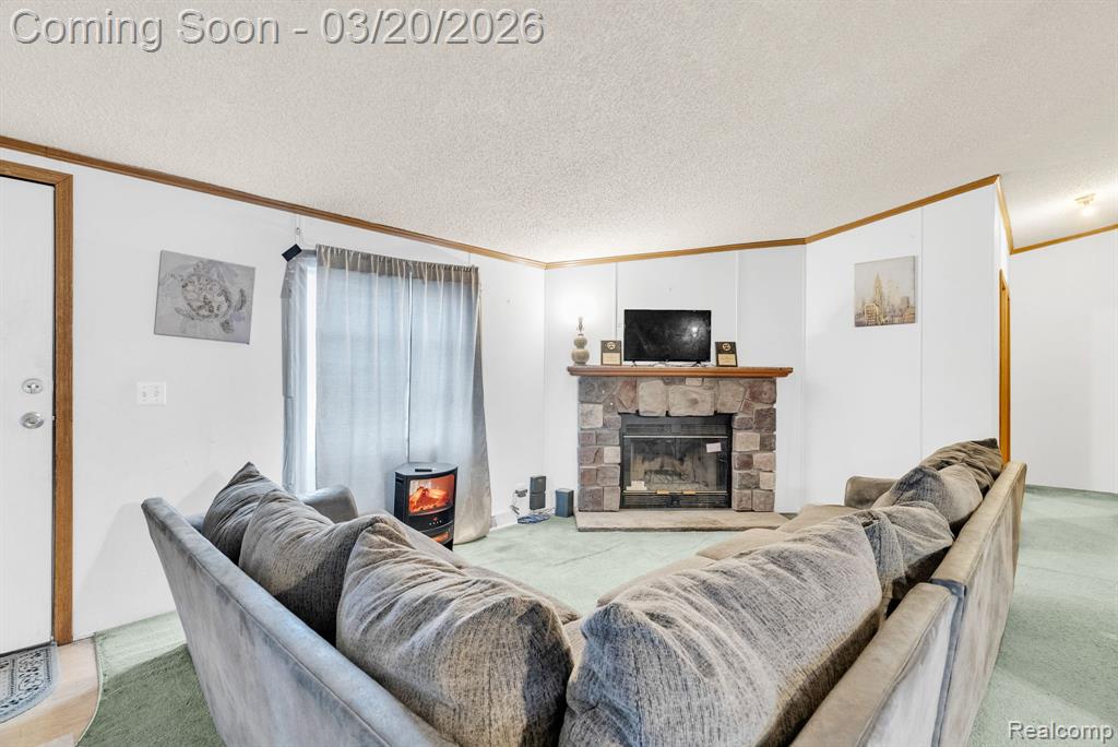 7151 Martin Road, Imlay City, MI 48444 — Photo 2