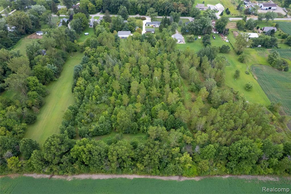 10784 Exeter Road, Carleton, MI 48117 — Photo 51
