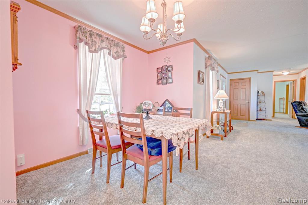 11108 Wood Run Circle, South Lyon, MI 48178 — Photo 11