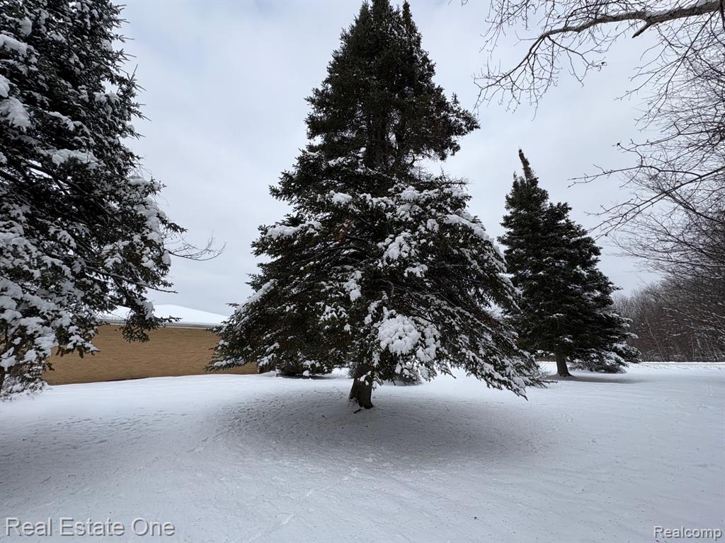 2855 E County Line Road, Hale, MI 48739 — Photo 38