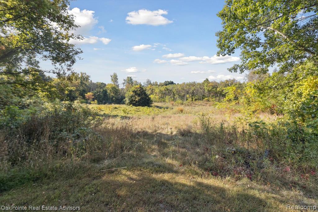 11429 Frey Court, Whitmore Lake, MI 48116 — Photo 20