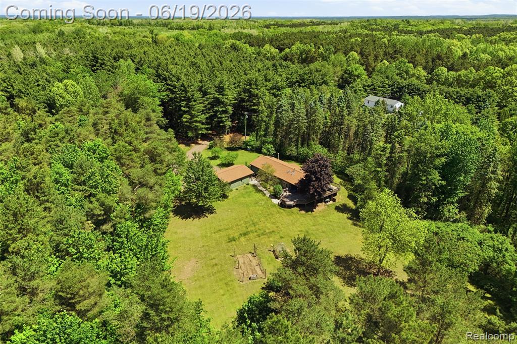 3167 Roods Lake Road, Lapeer, MI 48446 — Photo 35