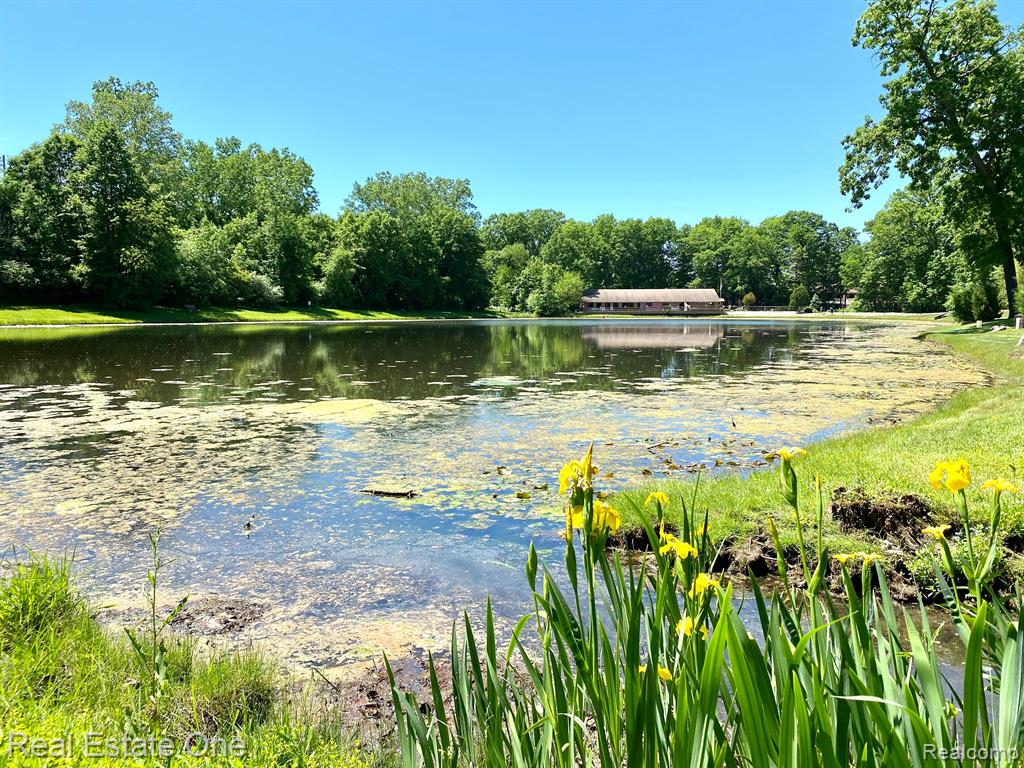 61960 ARLINGTON Circle, 1, South Lyon, MI 48178 — Photo 30