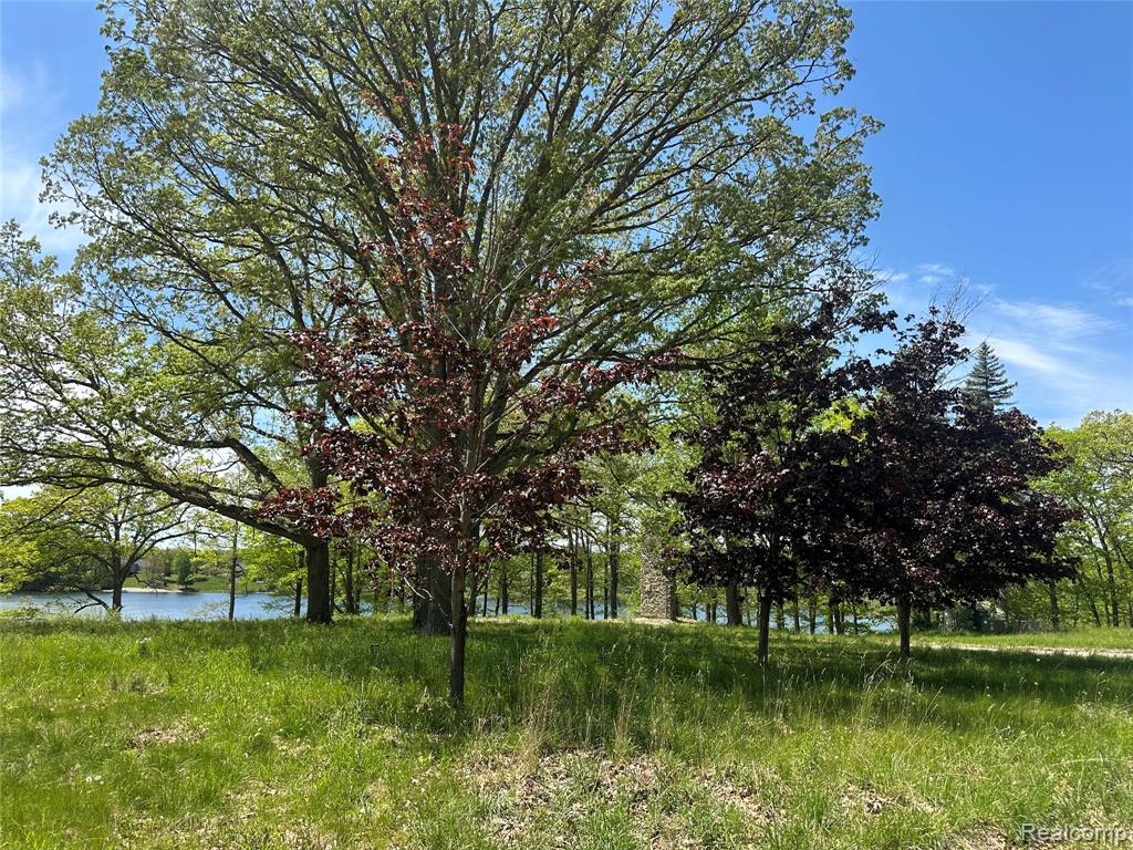 6727 Sherman Street, Otter Lake, MI 48464 — Photo 15