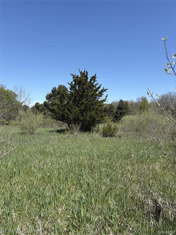 Parcel 1 Edgemont Drive, Howell, MI 48855 — Photo 16