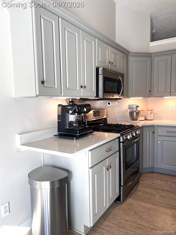 4740 S Francis Road, St. Johns, MI 48879 — Photo 11