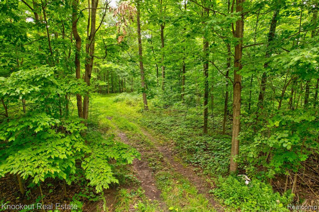 8000 Roedel Road, Frankenmuth, MI 48734 — Photo 16