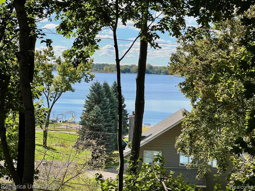 10324 Greenwood Road, Whitmore Lake, MI 48189 — Photo 11