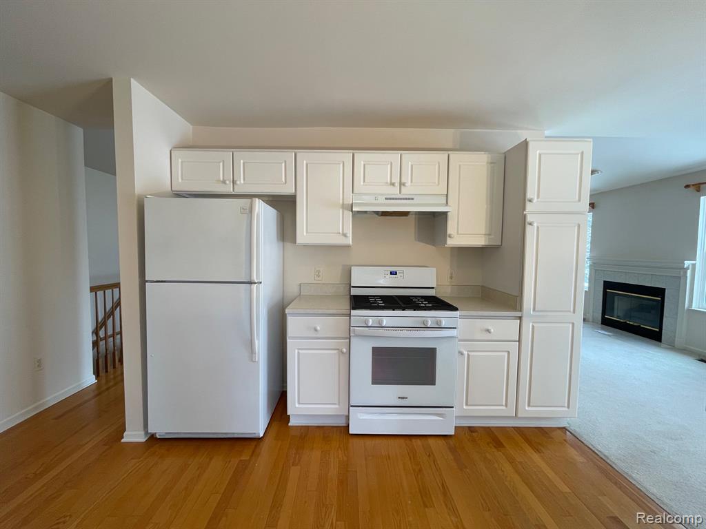 10385 Tophill, Hartland, MI 48353 — Photo 5