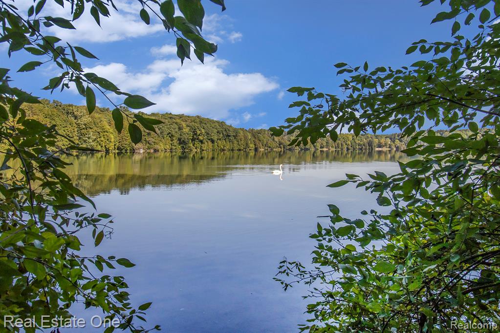 3125 N Tipsico Lake Road, Hartland, MI 48353 — Photo 48