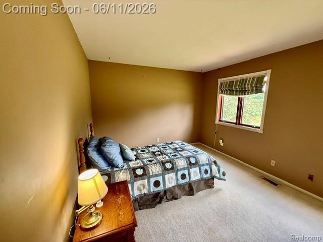 4897 Curtiss Drive, Lapeer, MI 48446 — Photo 32