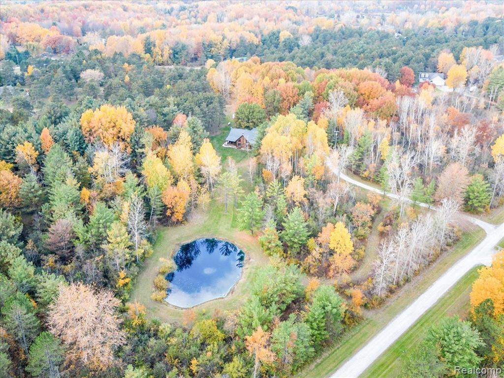 6613 BLACK RIVER Drive, Grant, MI 48032 — Photo 11