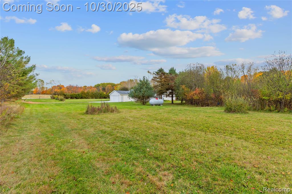 7777 Jordan Road, Yale, MI 48097 — Photo 33
