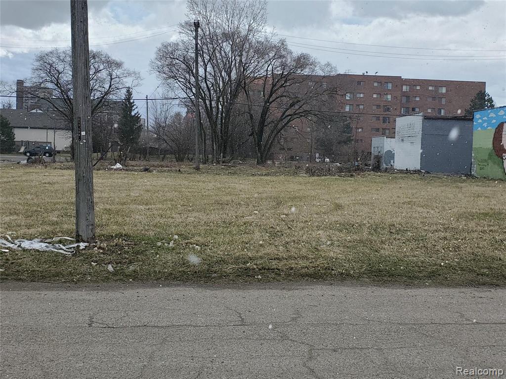 2138 HENDRICKS, Detroit, MI 48207 — Photo 3