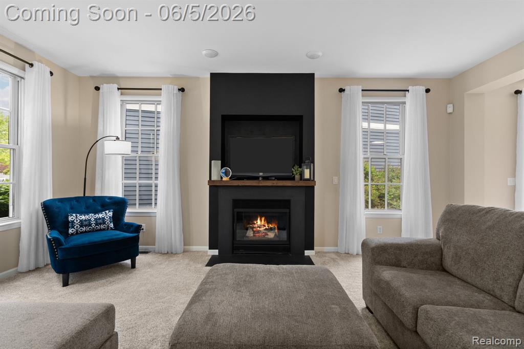 423 Patriot Street, 176, Canton, MI 48188 — Photo 6