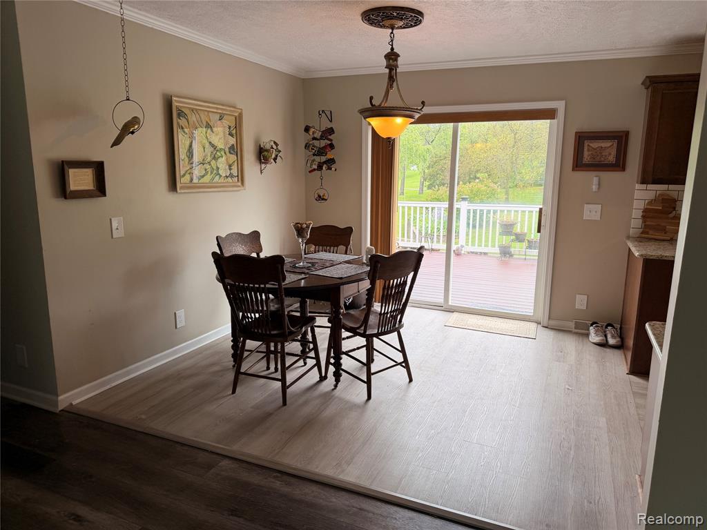 337 Lafayette Street, Manchester, MI 48158 — Photo 5