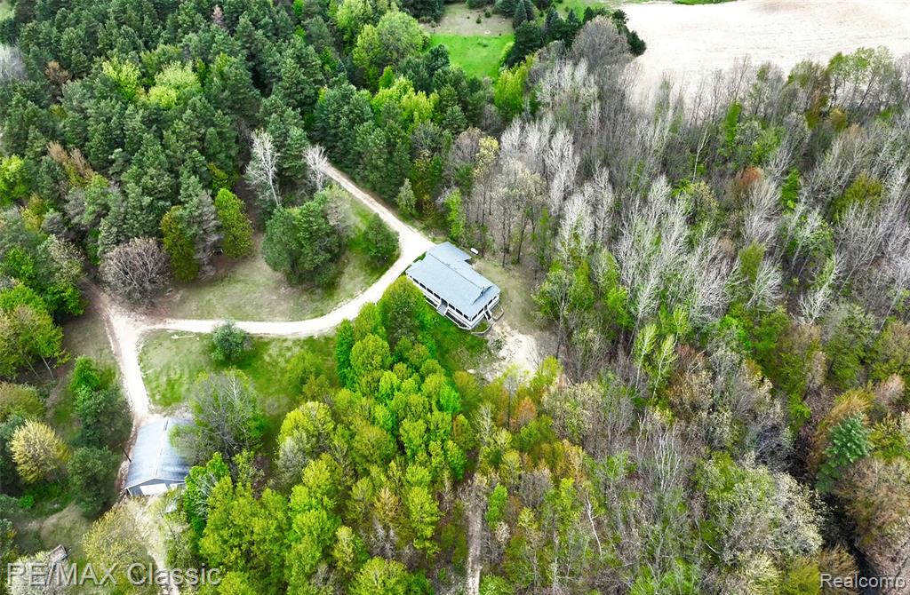 4611 Murray Road, Mayville Vlg, MI 48744 — Photo 6