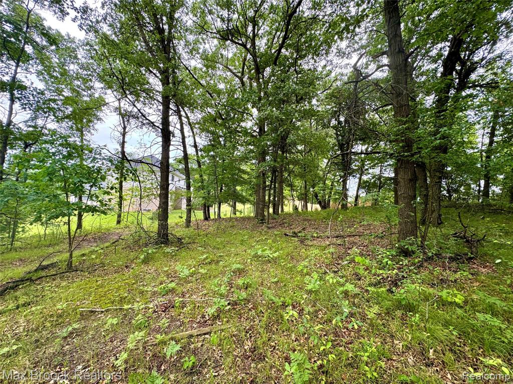 460 Lake Manitou Trail, Oxford, MI 48371 — Photo 63