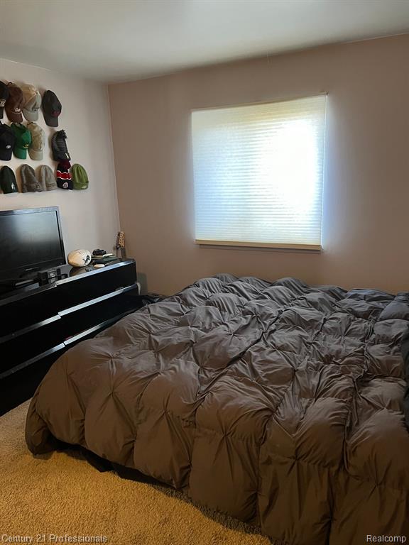 1852 COLONIAL VILLAGE Way, 2, Waterford, MI 48328 — Photo 18
