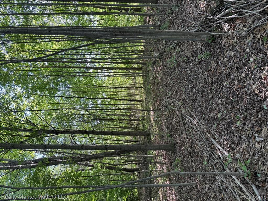 5400 Snow Den Trail, Columbiaville, MI 48421 — Photo 14