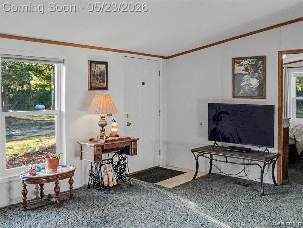 6691 Boone Lane, Vanderbilt, MI 49795 — Photo 18