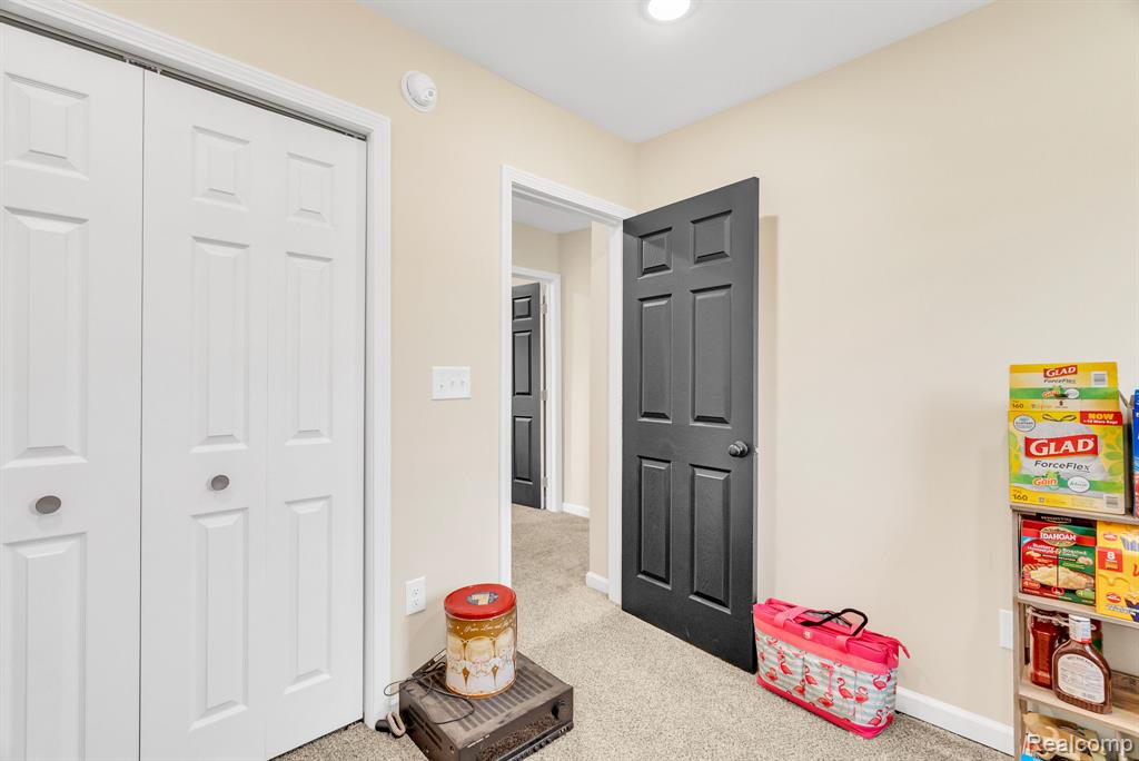 5668 Mill Street, Peck, MI 48466 — Photo 29