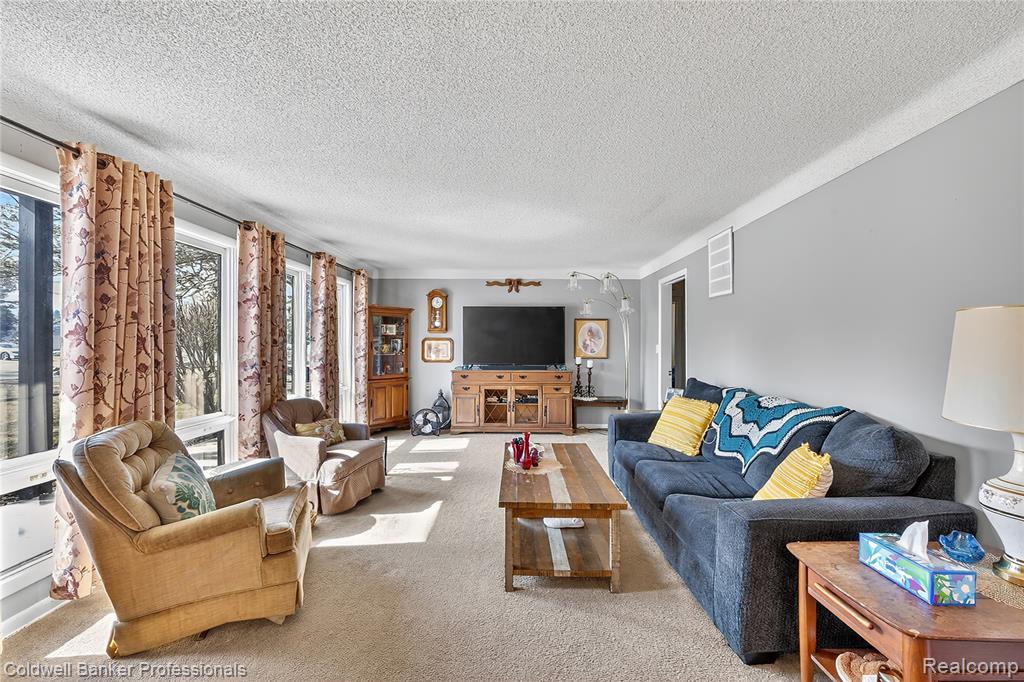 132 W Main Street, Mayville Vlg, MI 48744 — Photo 9
