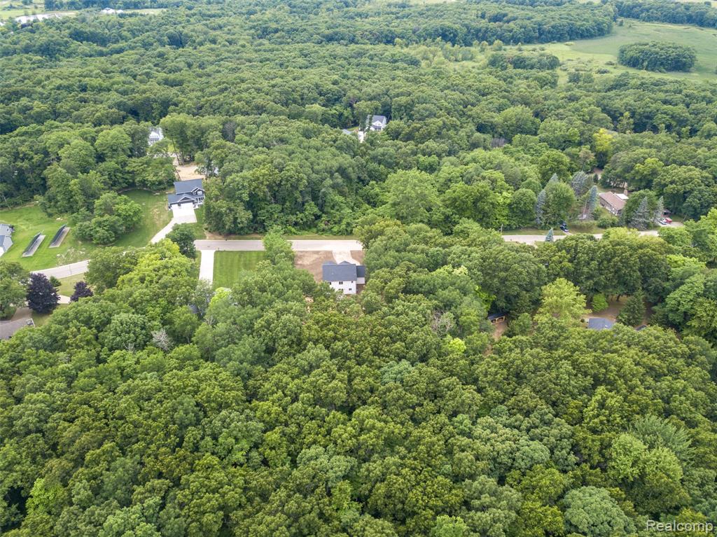 16085 Catalpa Ridge Drive, Holly, MI 48442 — Photo 36