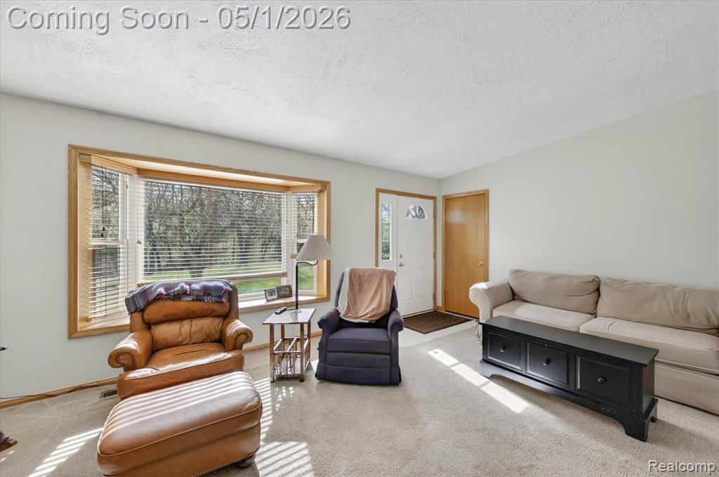 9074 Hamburg Road, Brighton, MI 48116 — Photo 6