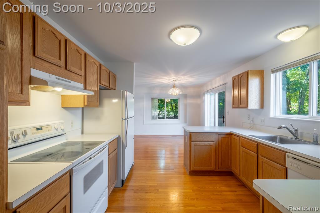 10456 Viewtop Court, Hartland, MI 48353 — Photo 10