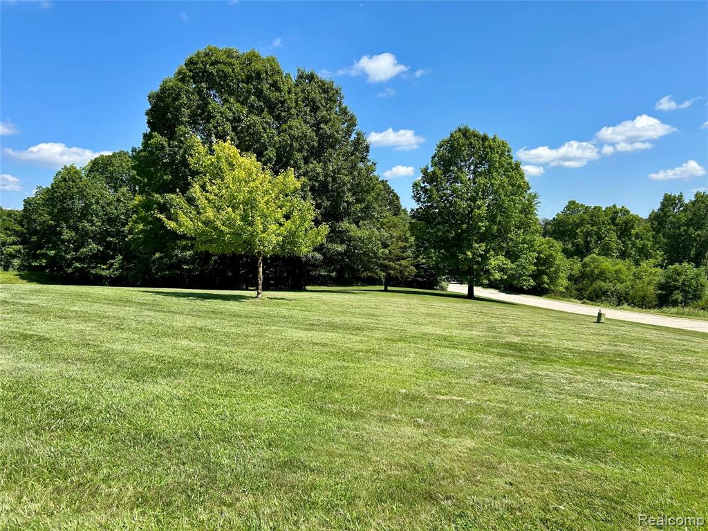 6435 Thompson Pond Drive, Whitmore Lake, MI 48189 — Photo 40