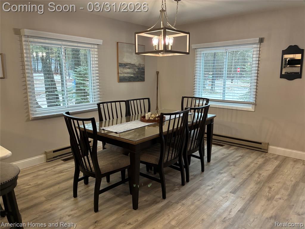217 Arbutus Lane, Roscommon, MI 48653 — Photo 11