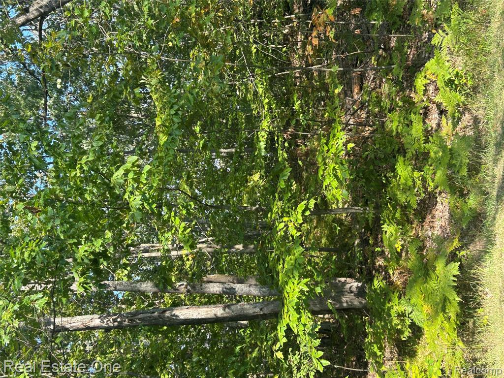 LOT 1860 Gray Hawk Court, MI — Photo 2