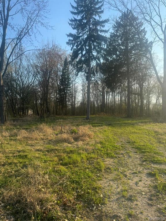 24960 CROCKER Boulevard - Photo 3