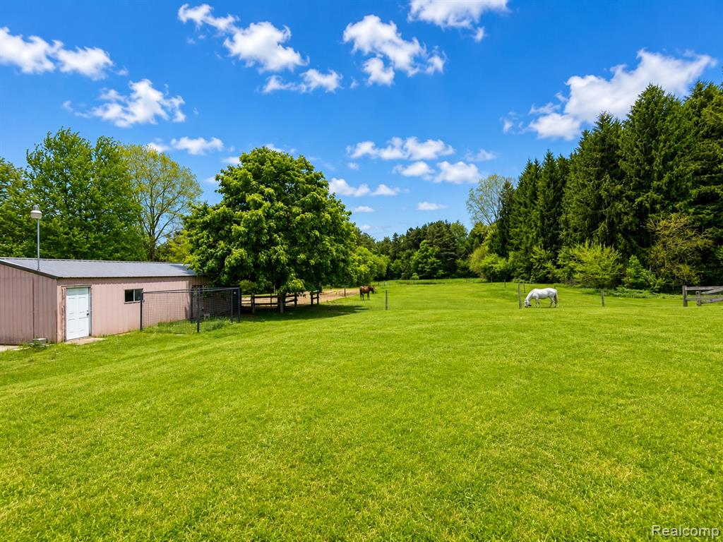 2712 North Branch Road, North Branch, MI 48461 — Photo 5
