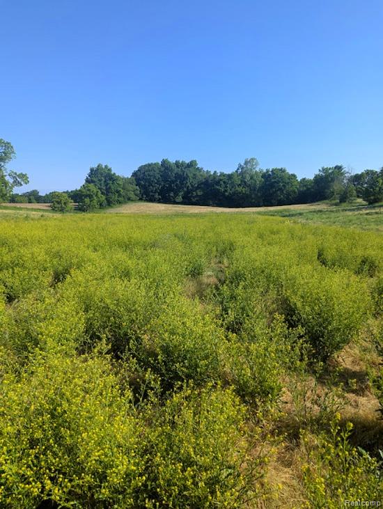 Parcel A - Rolston Road, Linden, MI 48451 — Photo 22