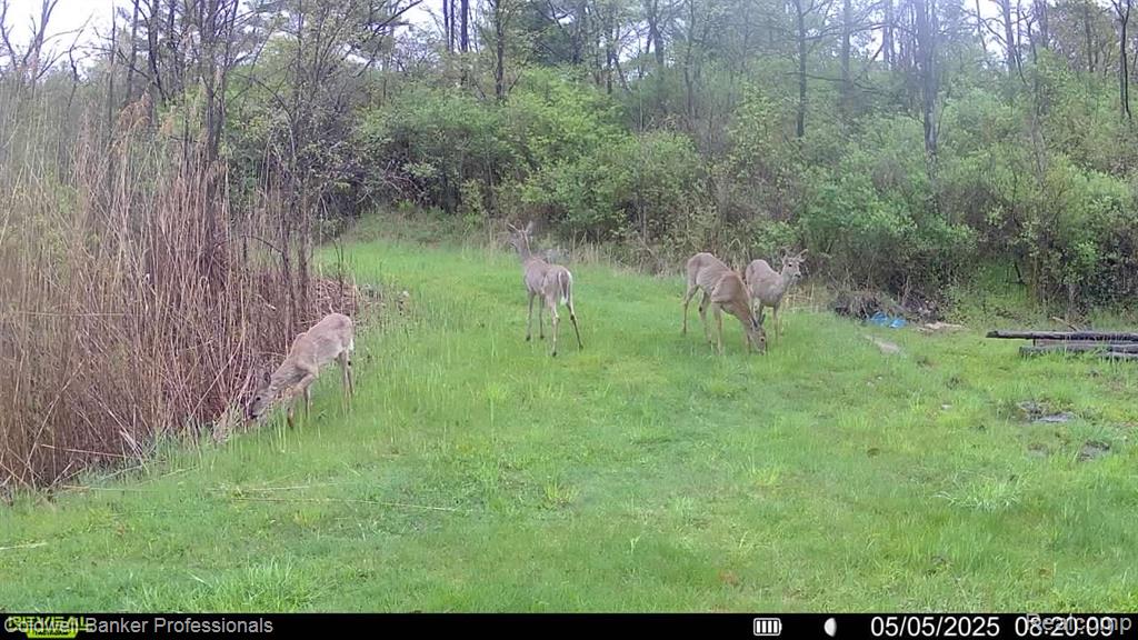 VL Rattle Run Road, St. Clair, MI 48079 — Photo 37