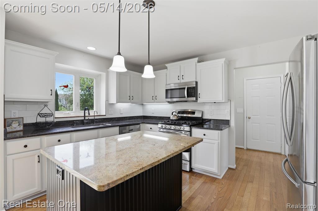 11163 Sand Crane Way, South Lyon, MI 48178 — Photo 15