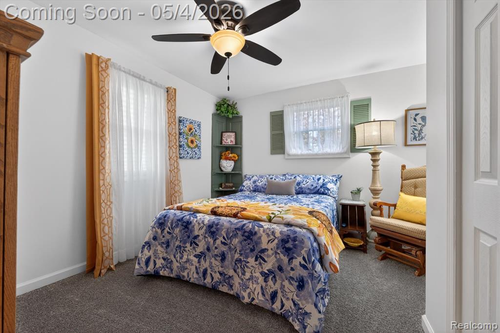 107 S Lester Street, Capac, MI 48014 — Photo 18