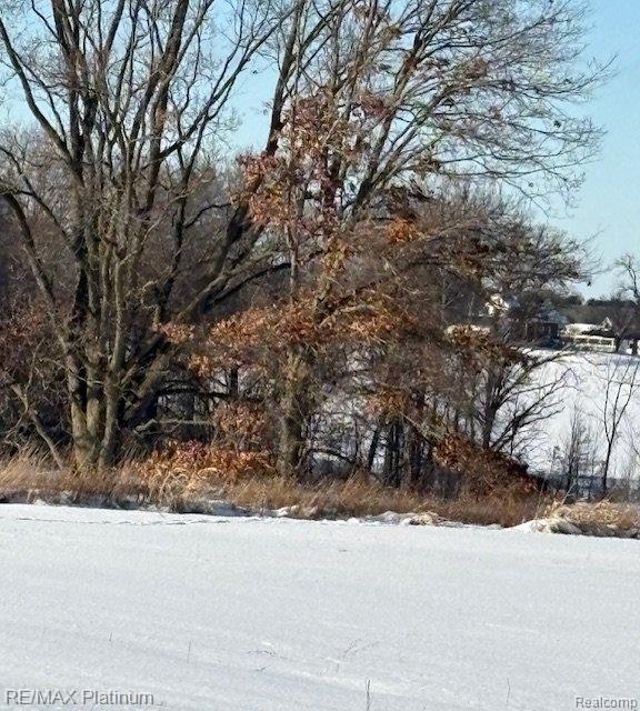 Lot 5 Misty Meadows, Howell, MI 48843 — front exterior