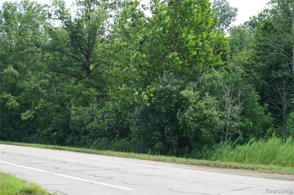 Vacant Willow Road, New Boston, MI 48164 — Photo 3