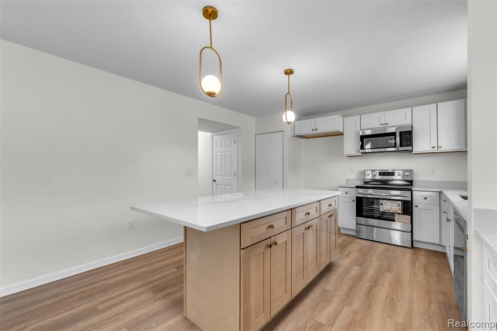 8553 Shiawassee River Drive, Fowlerville, MI 48836 — Photo 12