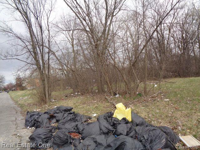 1749 COLLINGWOOD Street, Detroit, MI 48206 — Photo 7