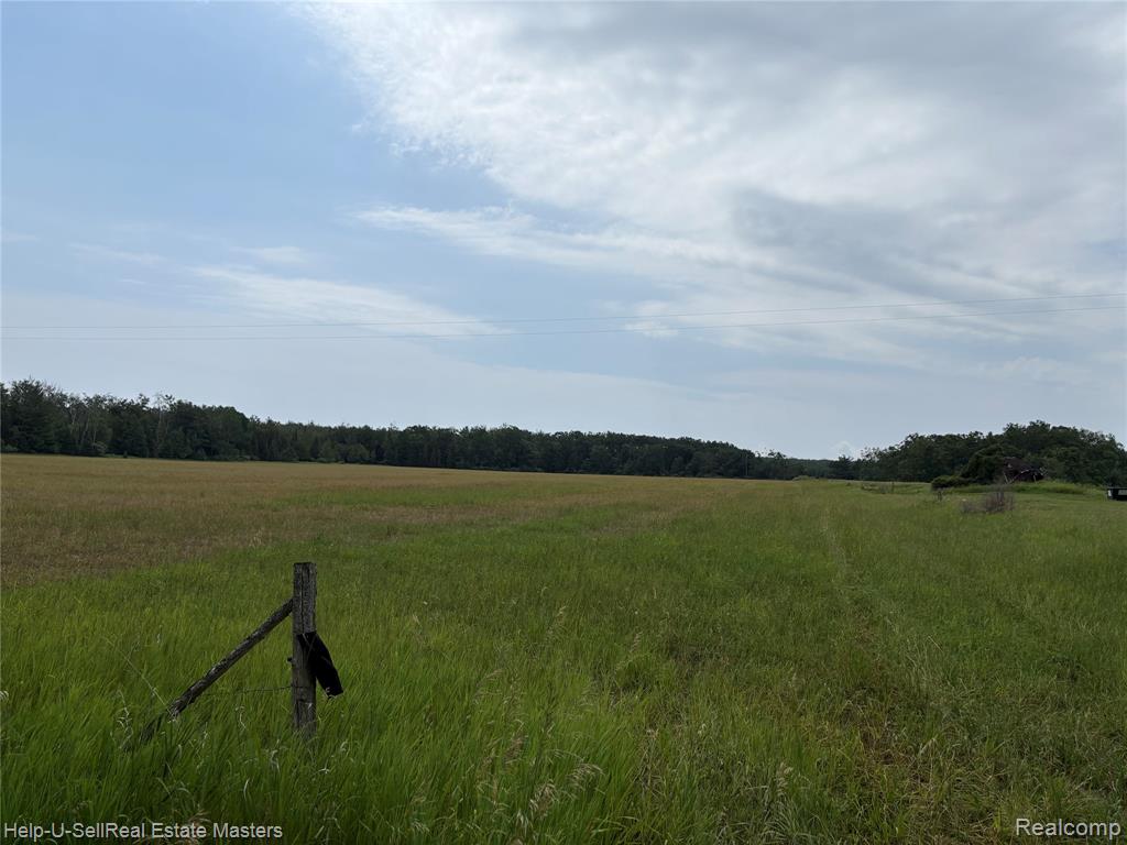 9999 W. Hubert rd Road, Hubbard Lake, MI 49747 — front exterior