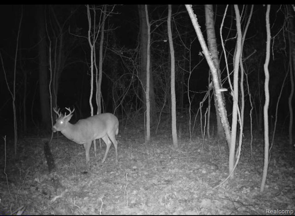 VACANT LAND S. PLAIN Road, Caro, MI 48723 — Photo 15