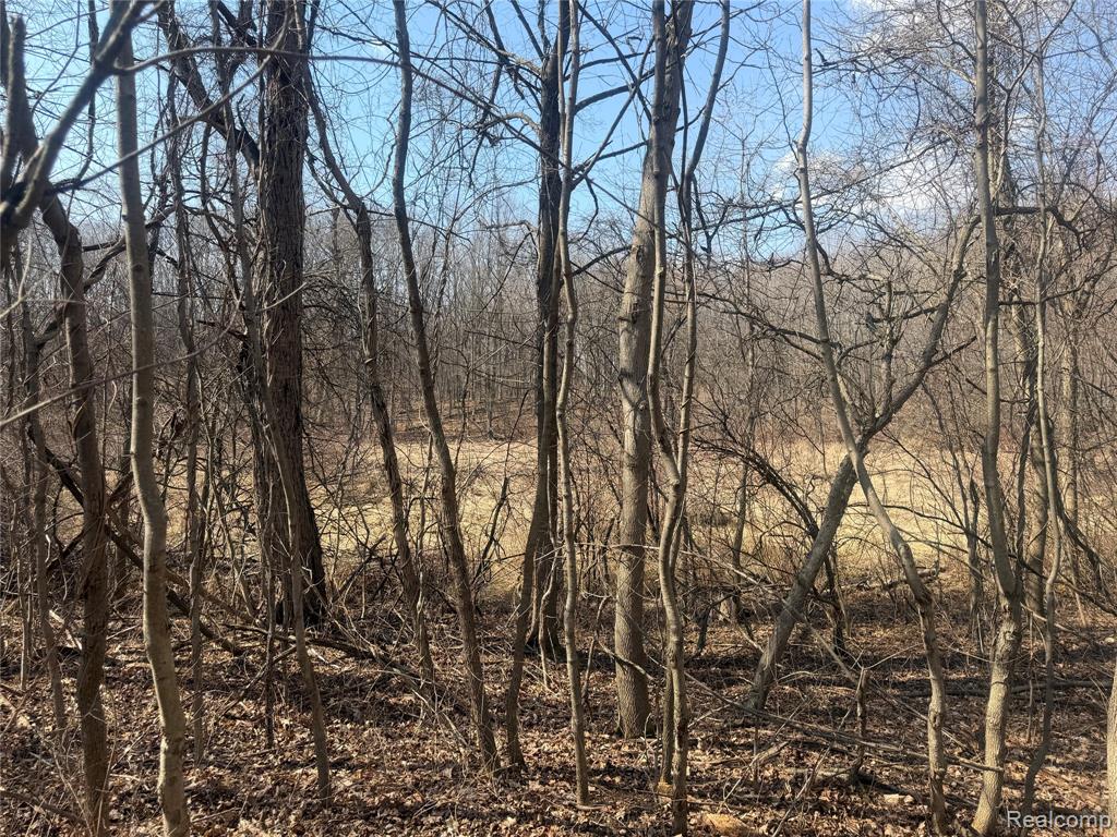 V/L Fulton, Mayville Vlg, MI 48744 — Photo 17