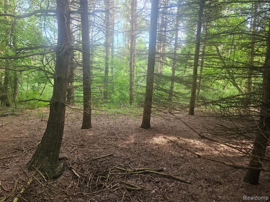 VL Millville Road, Lapeer, MI 48446 — Photo 14